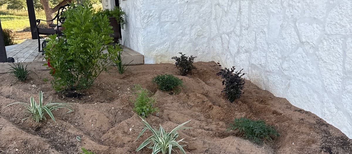 Drip vs spray irrigation comparison — water efficiency, coverage, and application for landscape beds and turf