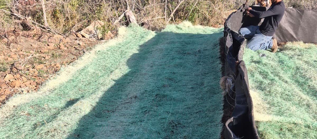 Holding landscape crews accountable for production — daily targets, progress tracking, and performance reviews