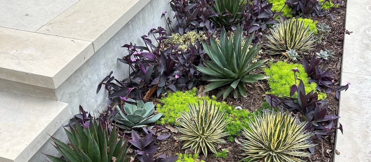 Landscaping portfolio that converts website visitors — photo quality, project descriptions, and lead capture