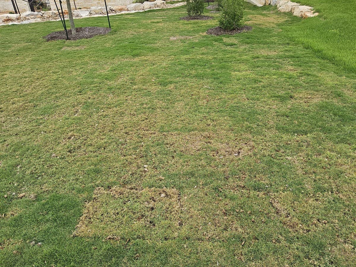 Sod installation sequence showing grade prep, starter fertilizer, sod laying pattern, and seam rolling