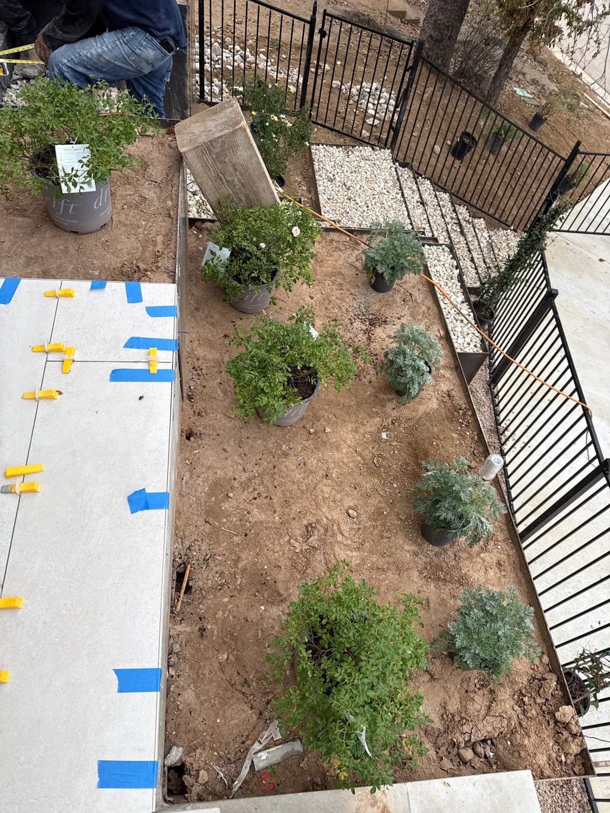 Planting bed cross-section showing steel edging, amended soil depth, plant spacing, and 3-inch mulch layer
