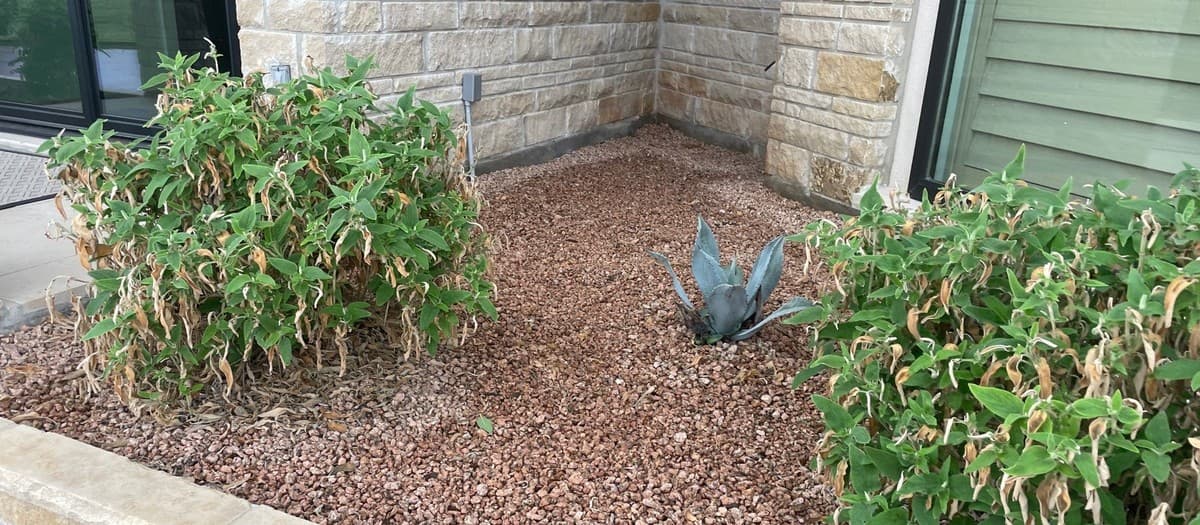 Seasonal marketing for landscape companies — spring booking campaigns, summer service push, and fall scheduling
