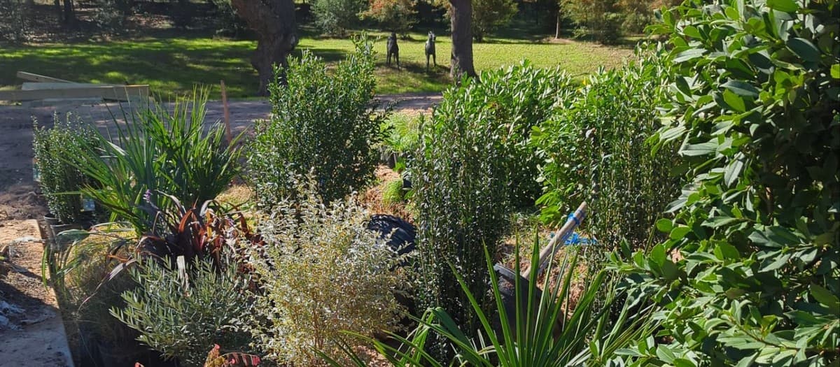 Best landscape estimating software comparison 2026 — features, pricing, and fit for small contractors